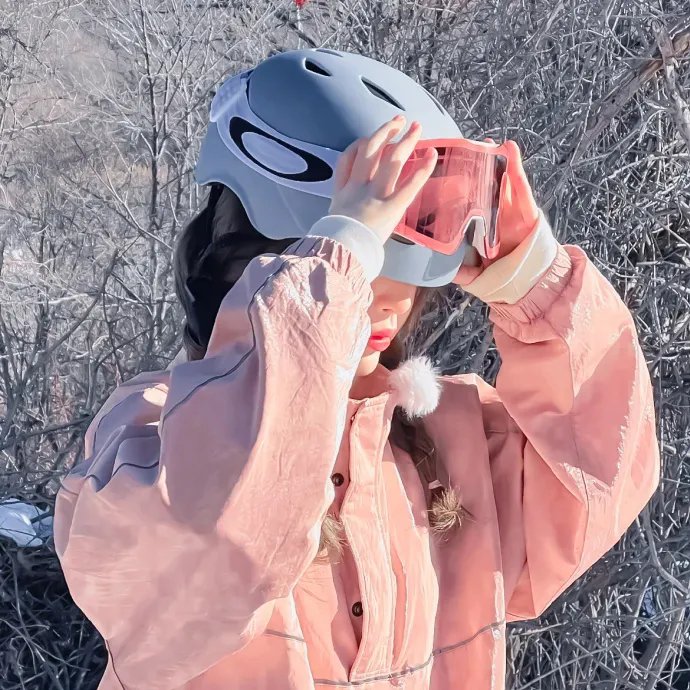 地平线系列:太阳系的秘密